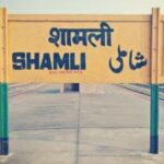 packers and movers in Shamli