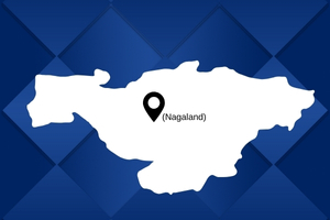 best pakers and mover in Nagaland