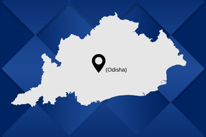 best pakers and mover in Odisha