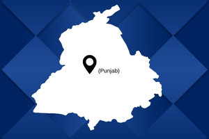 best pakers and mover in Punjab