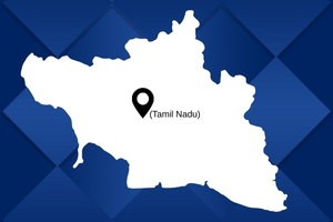best pakers and mover in Tamil Nadu