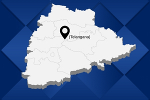 best pakers and mover in Telangana