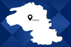 best pakers and mover in Tripura